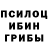 Галлюциногенные грибы мицелий Wesley Felix