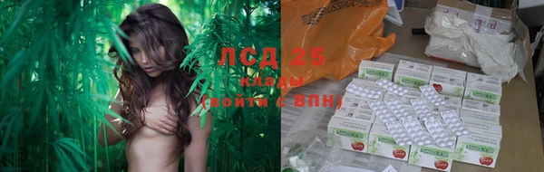не бодяженный Бородино